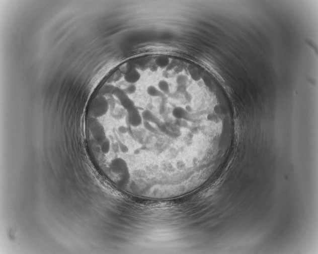 X0000102410891200808291505