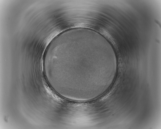 X0000102410892200808291505