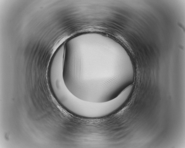 X0000102410893200808291505