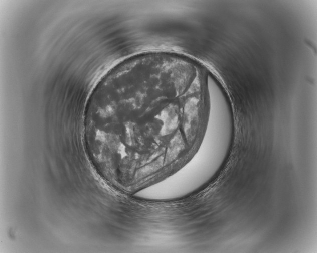 X0000102410895200808291505