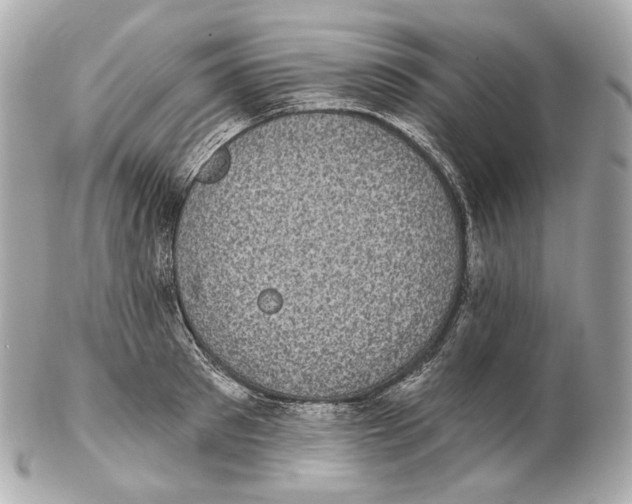 X0000102410897200808291505