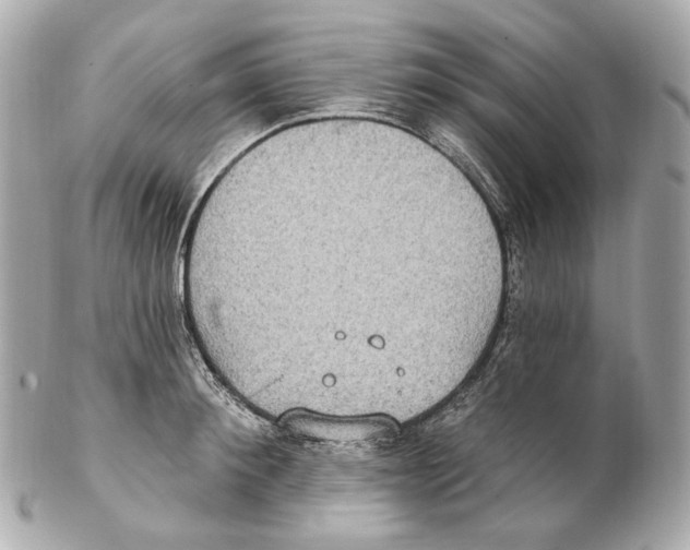 X0000102410900200808291505