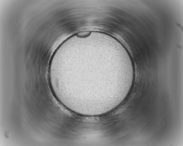 X0000102410901200808291505