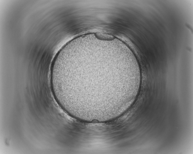 X0000102410902200808291505