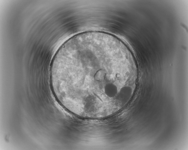 X0000102410903200808291505