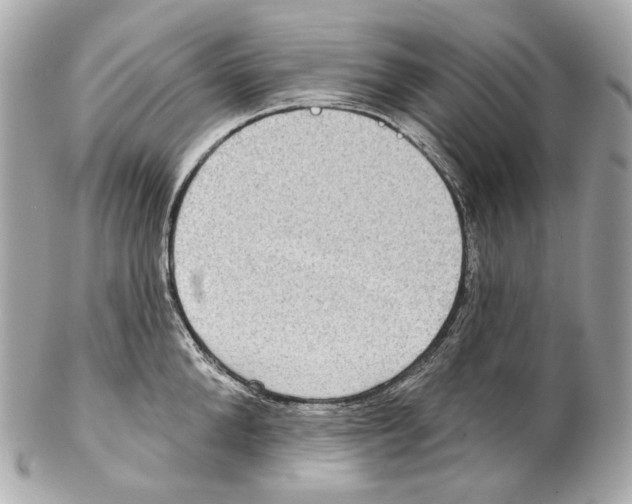 X0000102410904200808291505