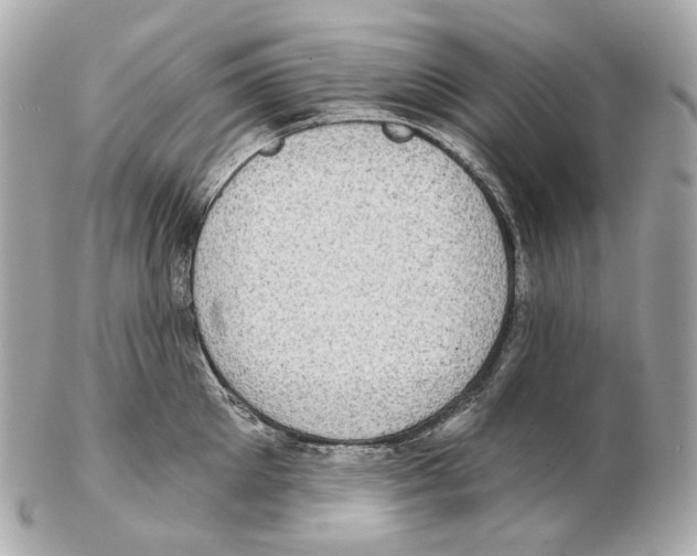 X0000102410905200808291505