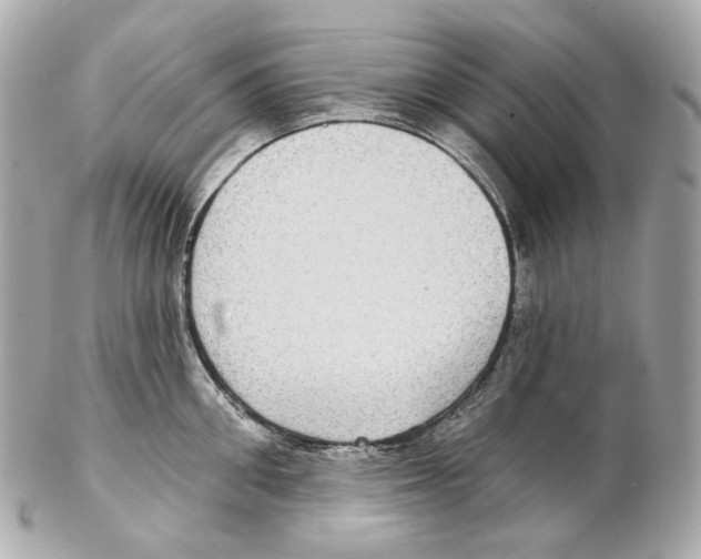 X0000102410906200808291505