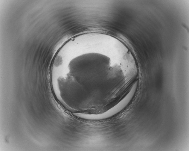 X0000102410907200808291505