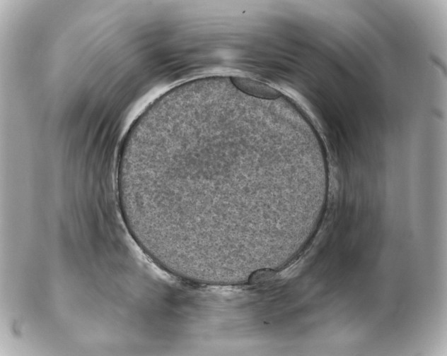 X0000102410910200808291505