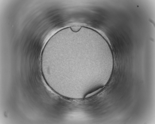 X0000102410911200808291505