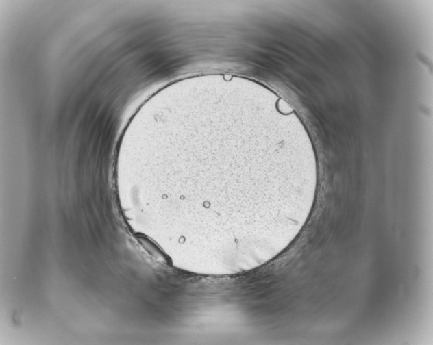 X0000102410912200808291505