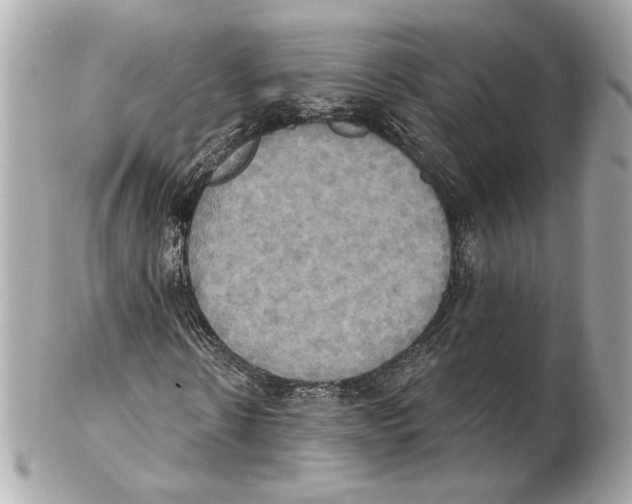 X0000102410914200808291504