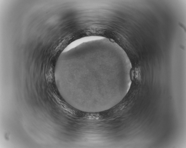 X0000102410915200808291504