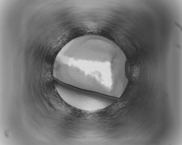 X0000102410916200808291504