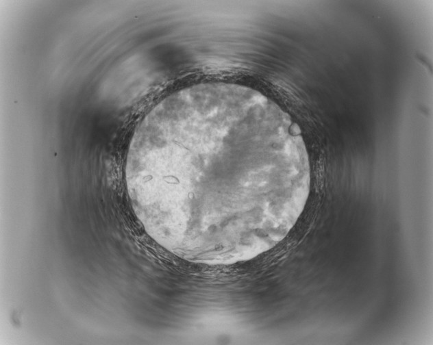 X0000102410917200808291504