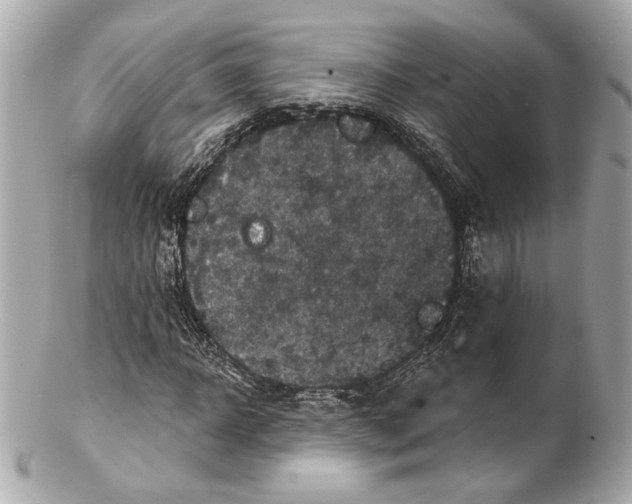 X0000102410918200808291504