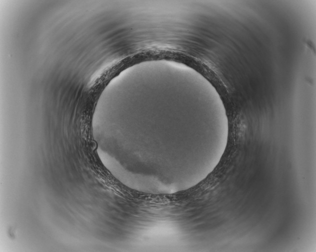 X0000102410919200808291504