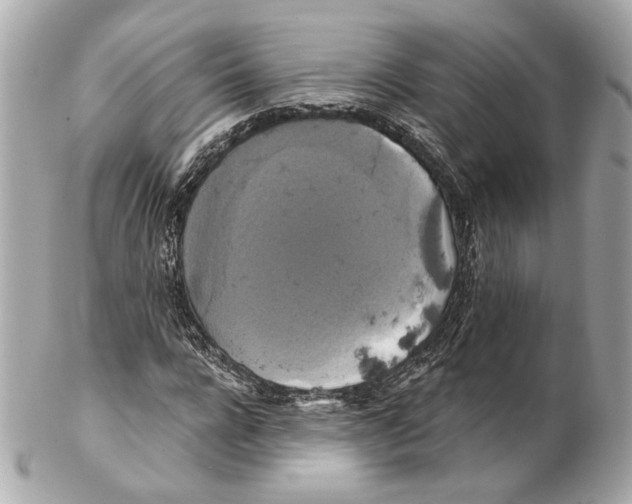 X0000102410920200808291504