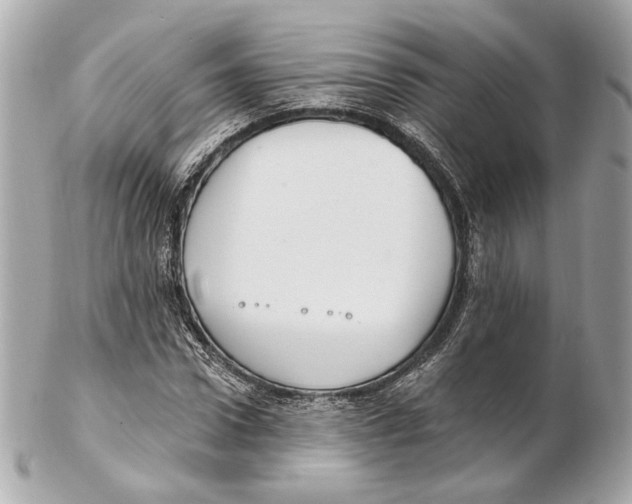 X0000102410922200808291504