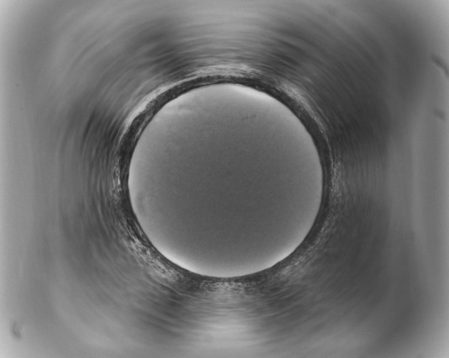 X0000102410923200808291504