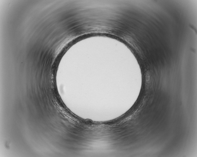 X0000102410926200808291504