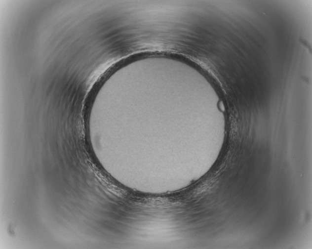 X0000102410927200808291504