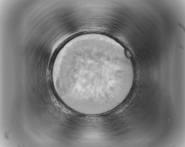 X0000102410928200808291504