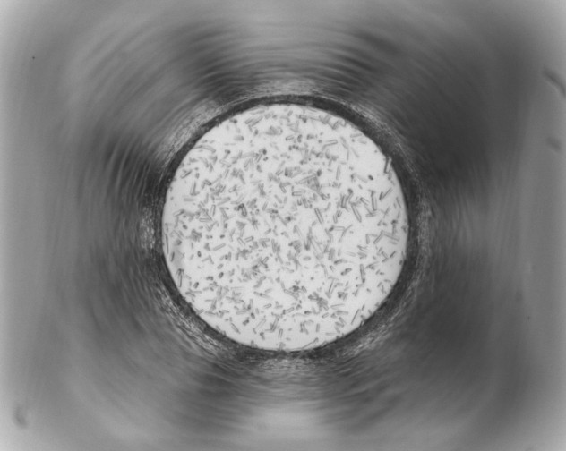 X0000102410929200808291504