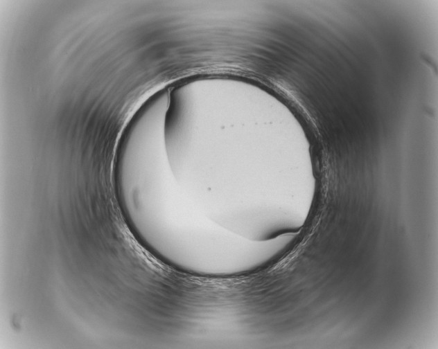 X0000102410932200808291504