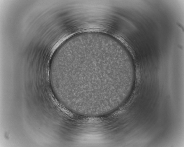 X0000102410933200808291504