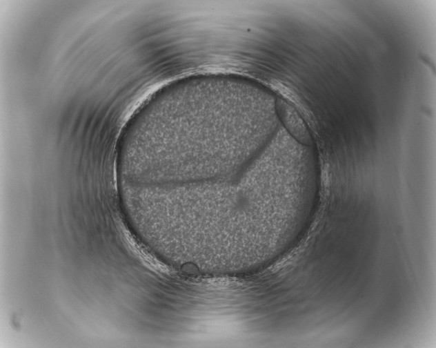 X0000102410934200808291504