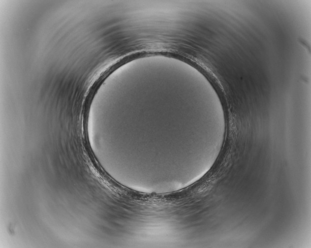 X0000102410935200808291504