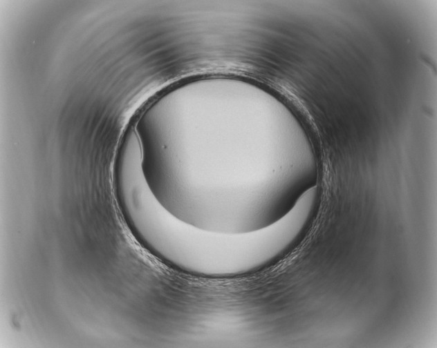 X0000102410936200808291504