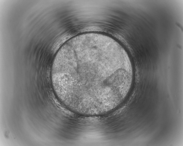 X0000102410937200808291504