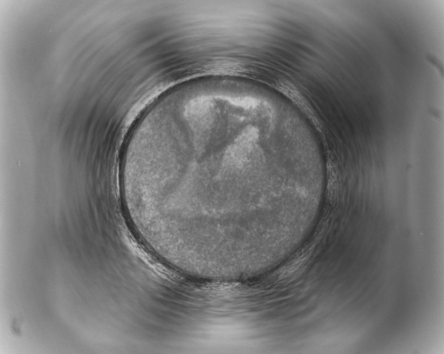 X0000102410939200808291504