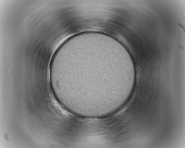 X0000102410940200808291504