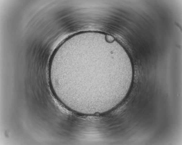 X0000102410942200808291504