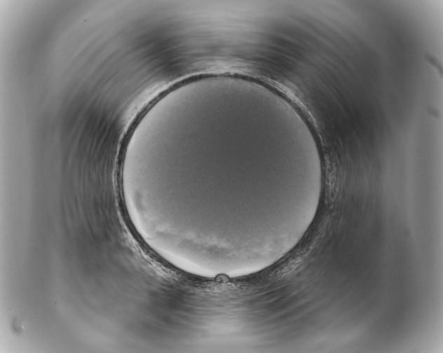 X0000102410943200808291504