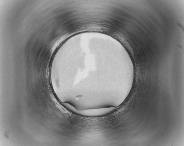 X0000102410944200808291504