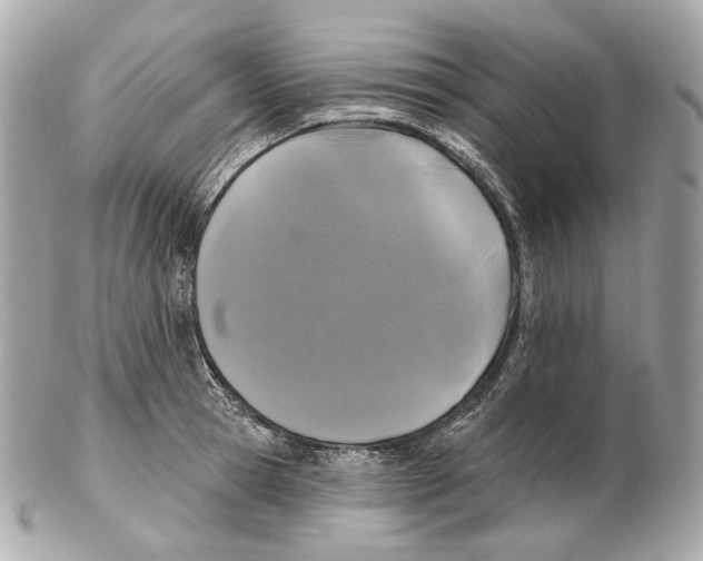 X0000102410945200808291504