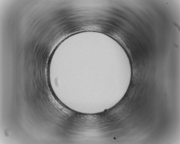 X0000102410947200808291504