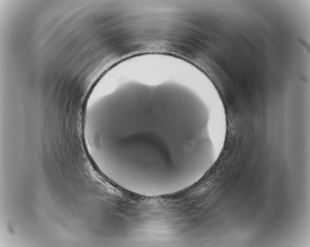 X0000102410950200808291504