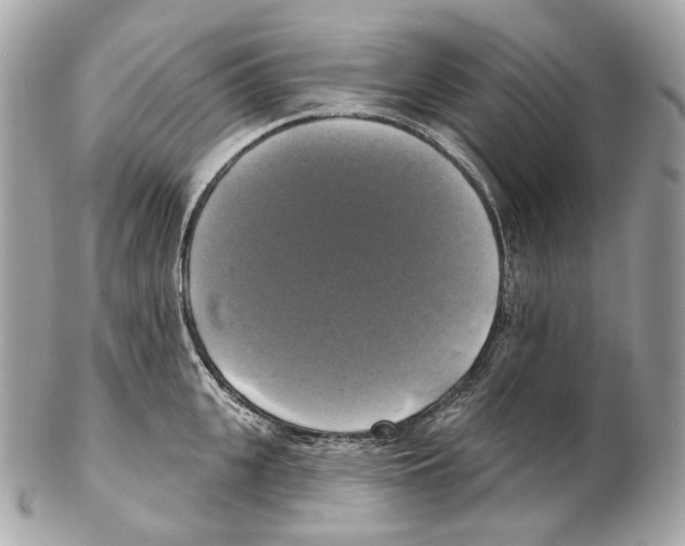 X0000102410951200808291504