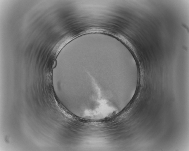 X0000102410953200808291504