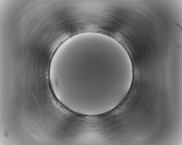 X0000102410954200808291505