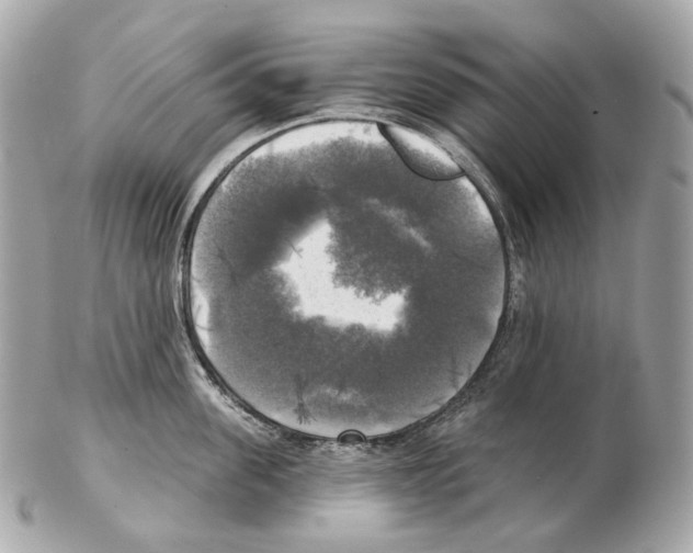 X0000102410955200808291505