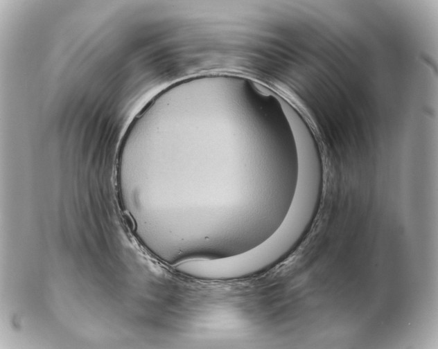 X0000102410956200808291505