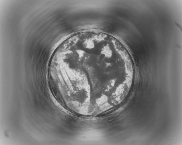 X0000102410957200808291505