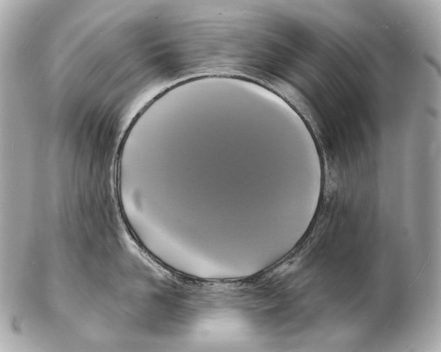 X0000102410958200808291505